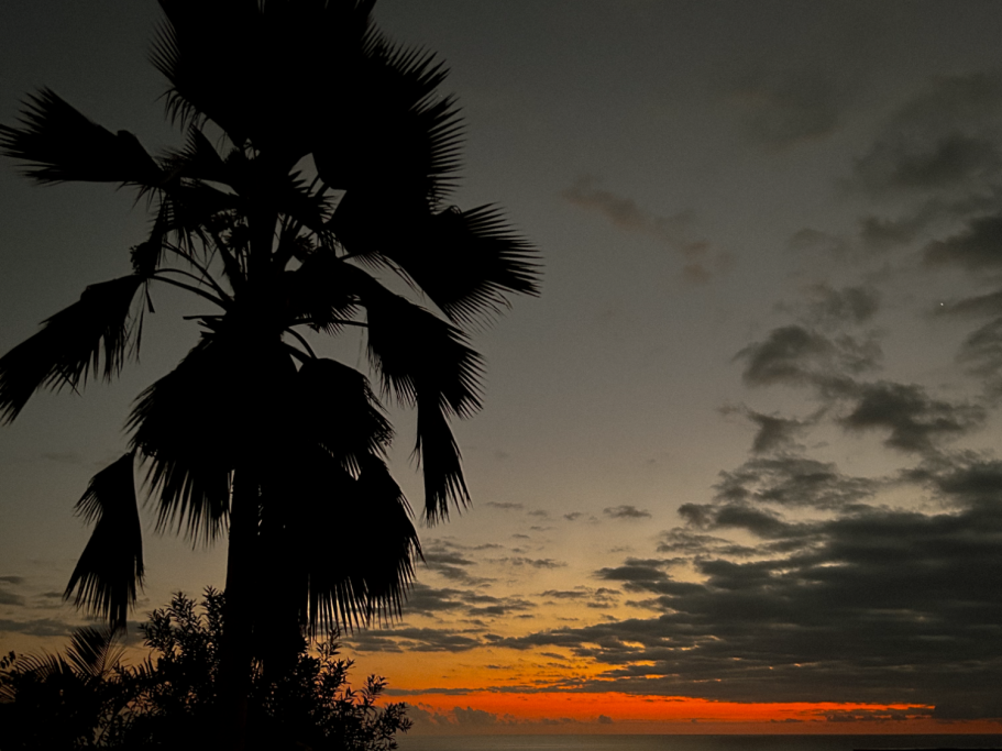 Silhouette d’un palmier au coucher du soleil avec un ciel coloré – photographie de paysage par Luminéo